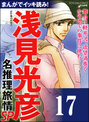 浅見光彦ミステリーSP（分冊版）　【第17話】