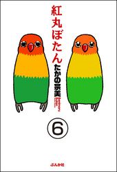 紅丸ぼたん（分冊版）