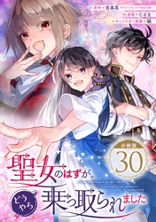 聖女のはずが、どうやら乗っ取られました【分冊版】 30