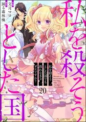 私を殺そうとした国でも救わなきゃダメですか？（分冊版）