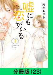 嘘にも恋がいる【分冊版（23）】