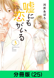 嘘にも恋がいる【分冊版（25）】