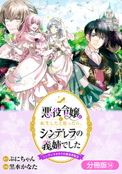 悪役令嬢に転生したと思ったら、シンデレラの義姉でした ～シンデレラオタクの異世界転生～【分冊版】 14巻