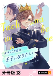 タチバナ君は王子になりたい 【分冊版】 13