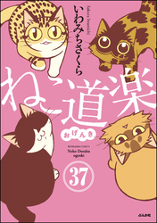 ねこ道楽（分冊版）　【第37話】