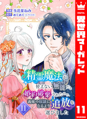 精霊魔法が使えない無能だと婚約破棄されたので、義妹の奴隷になるより追放を選びました 11