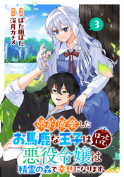 婚約破棄したお馬鹿な王子はほっといて、悪役令嬢は精霊の森で幸せになります。(3)