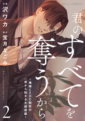 君はシンデレラ～孤高な御曹司が絶え間なく愛を注ぐ理由～【財閥御曹司シリーズ】 1 君はシンデレラ～孤高な御曹司が絶え間なく愛を注ぐ理由～【財閥