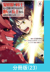 異世界の戦士として国に招かれたけど、断って兵士から始める事にした 【分冊版】（23）