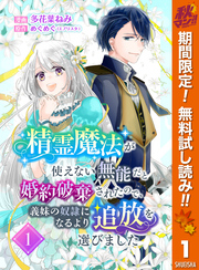 精霊魔法が使えない無能だと婚約破棄されたので、義妹の奴隷になるより追放を選びました【期間限定無料】 1