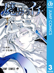 カグラバチ 7巻 額装ポスター ゼブラック 当選品 チヒロ 座村