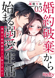 婚約破棄から始まる溺愛生活～理想の結婚相手って何ですか？～ 3巻